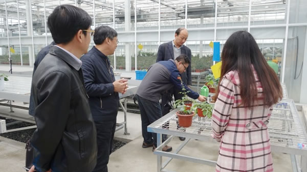 山東農業(yè)大學(xué)教授魏珉和李清明一行參觀(guān)考察AgriPheno平臺