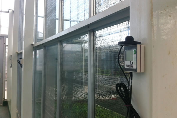 Spectrum 1450植物生長(cháng)微型氣象站Agripheno玉米溫室應用實(shí)例3.jpg Spectrum 1450植物生長(cháng)微型氣象站Agripheno玉米溫室應用實(shí)例3.jpg