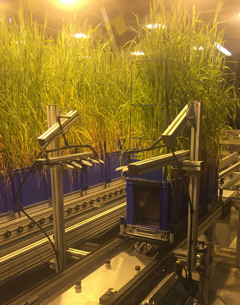 澤泉科技應邀參加PhenoDays 20154.jpg 澤泉科技應邀參加PhenoDays 20154.jpg