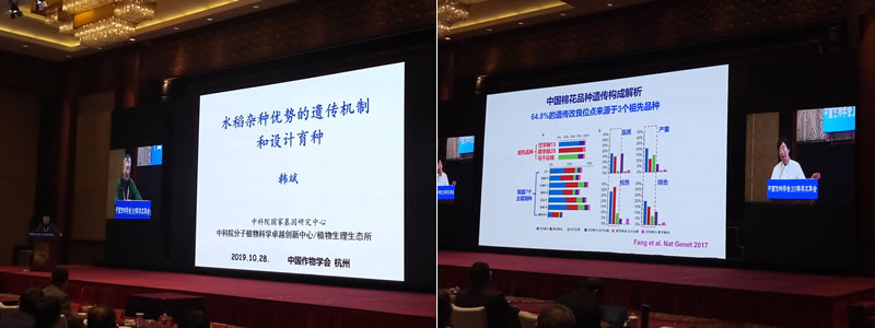 大會(huì )報告.jpg