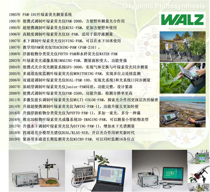 WALZ設備上市時(shí)間線(xiàn).jpg
