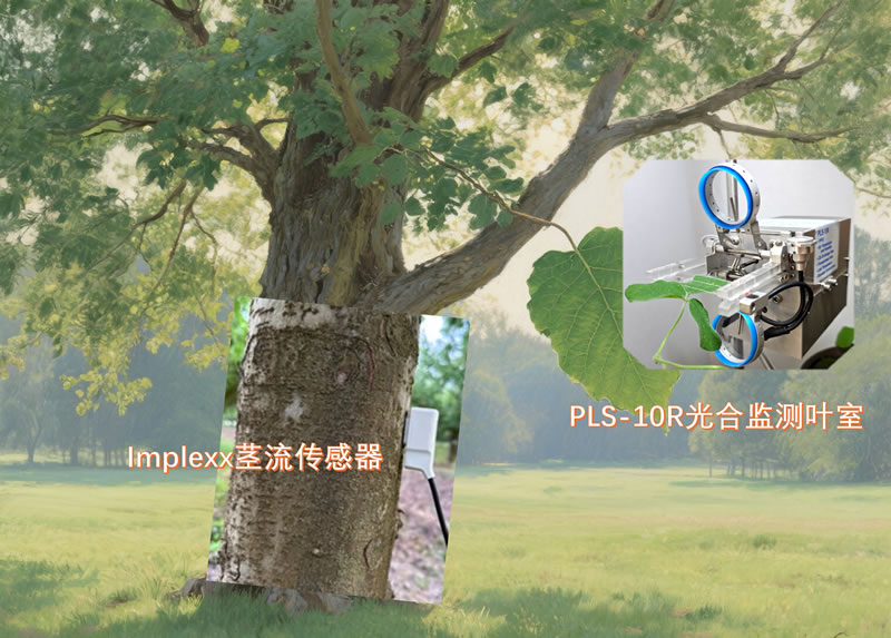 圖225082811.jpg
