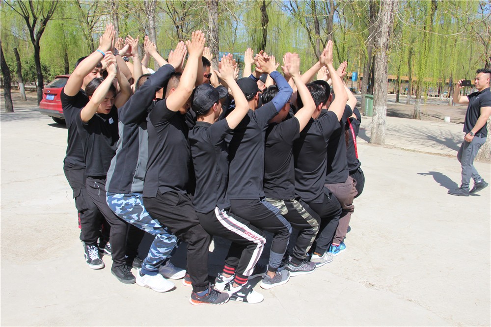[崇明島東平國家森林公園]野外拓展-戶外穿越一日團建活動