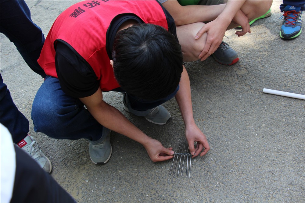 [壩上草原-神仙谷七彩森林公園]+場地拓展兩日活動