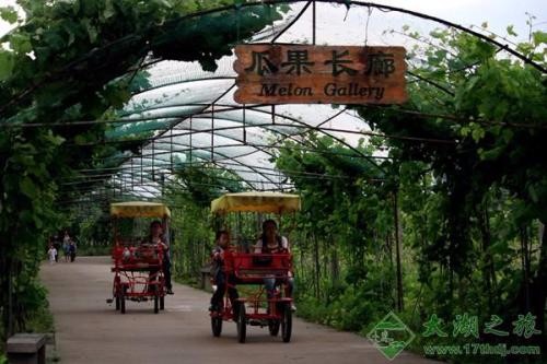[蘇州太湖綠光農場拓展基地]+ 致青春無悔！一日拓展活動