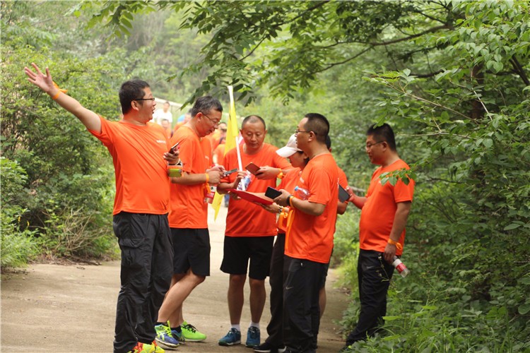 [上海佘山國(guó)家森林公園]+主題拓展一日活動(dòng)