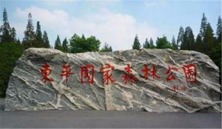 [崇明島東平國家森林公園]野外拓展-戶外穿越一日團建活動