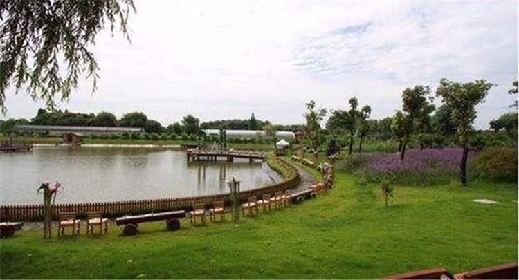 [上海太陽島拓展基地]-團隊凝聚力一日團建