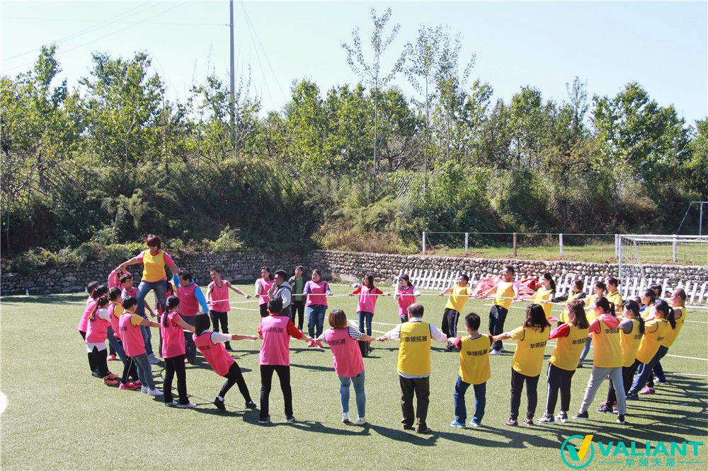 團(tuán)隊的力量